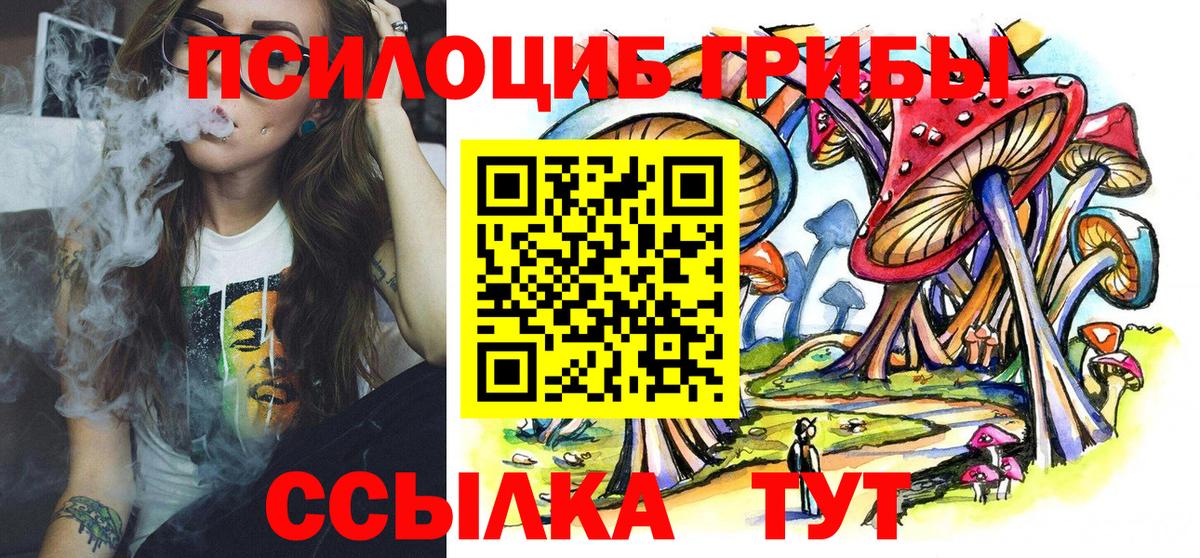 Псилоцибиновые грибы GOLDEN TEACHER Первоуральск